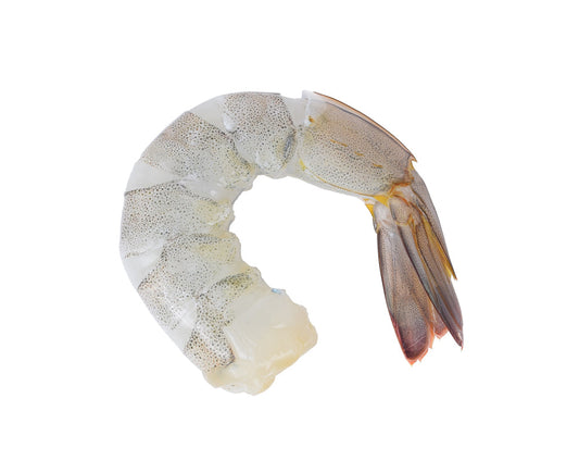 Scampi 13/15